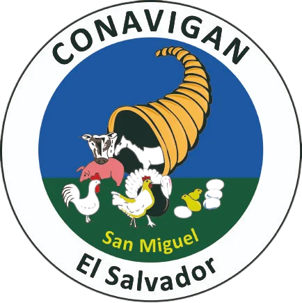 conavigan